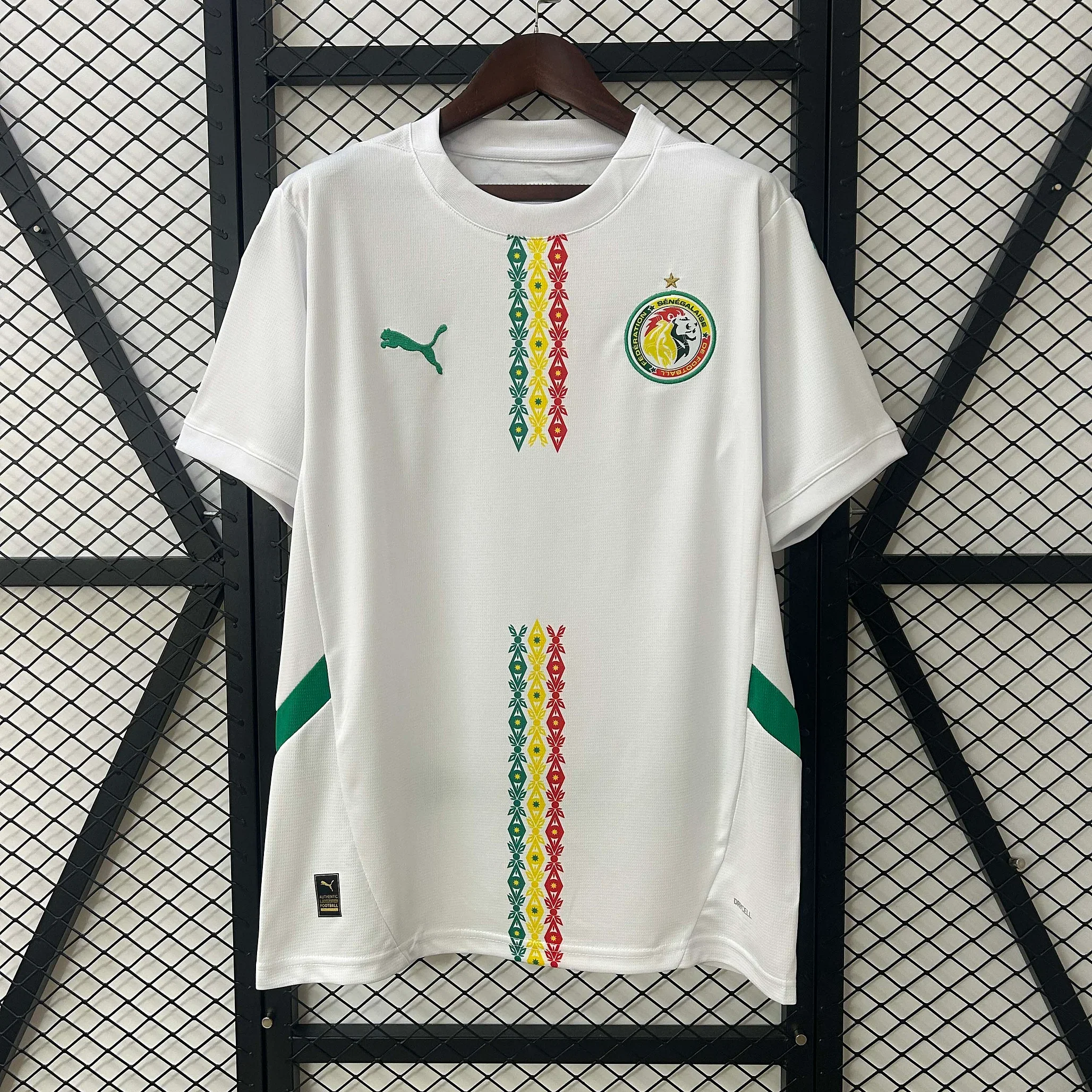 2024/2025 Senegal Home Kit