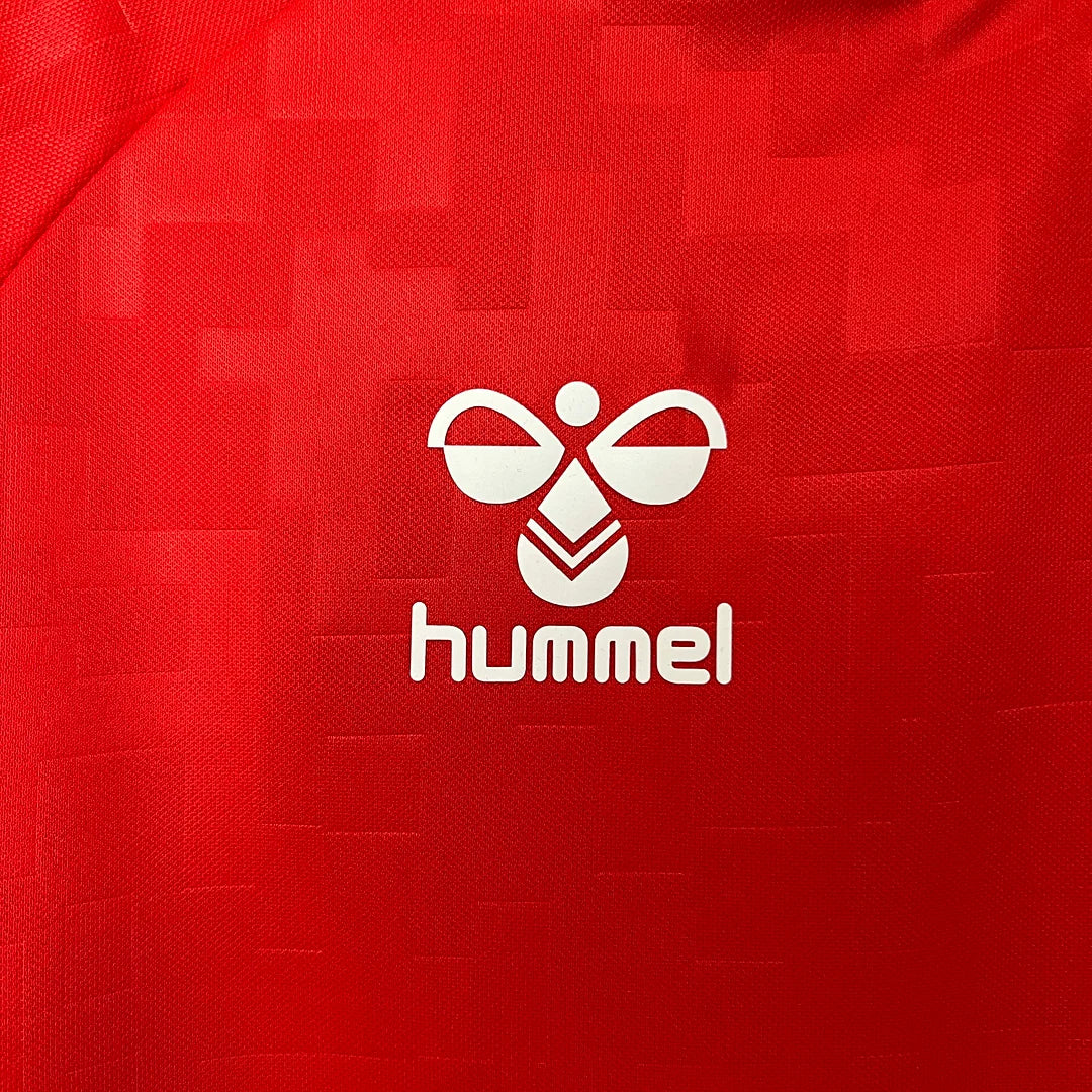2024 Denmark Home Jersey - Image 4