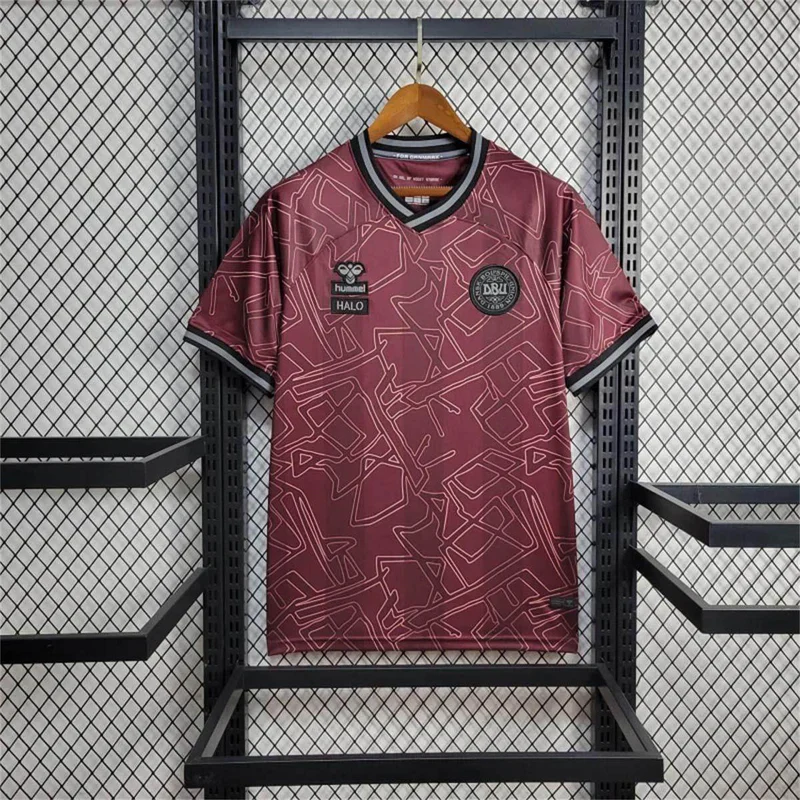 2024 Denmark Limited Jersey