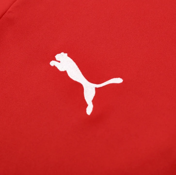 2025/2026 Portugal Red and Black Tracksuit - Image 3