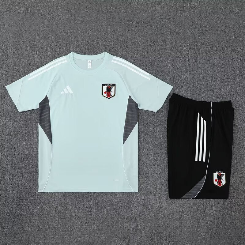Japan Training Set - Image 2