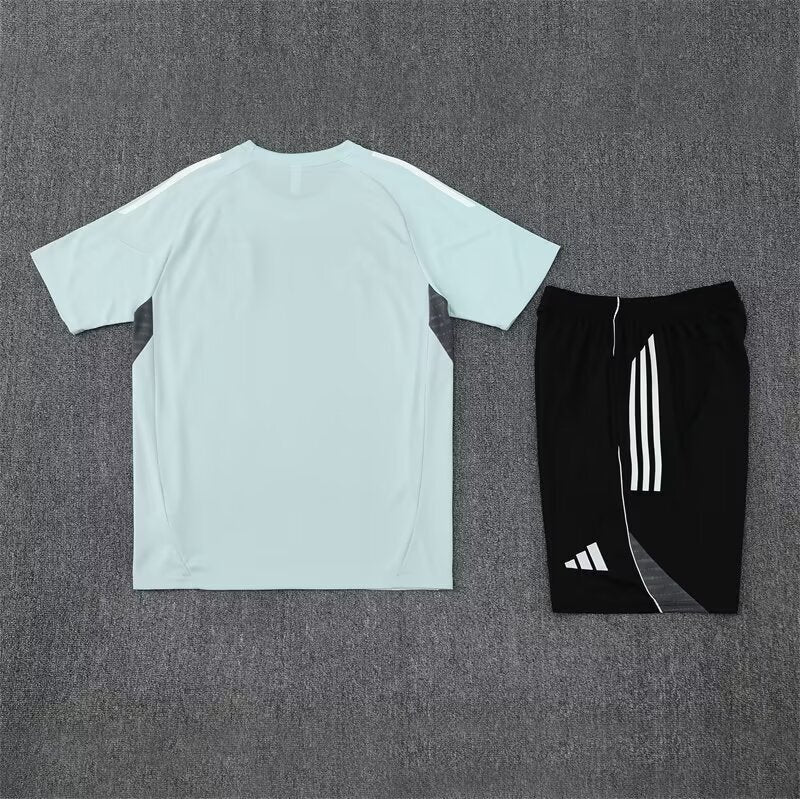 Japan Training Set - Image 3