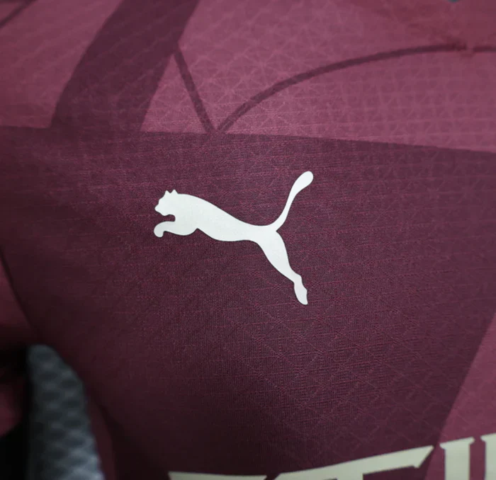 Machester City 2024/2025 Third Kit - Image 4
