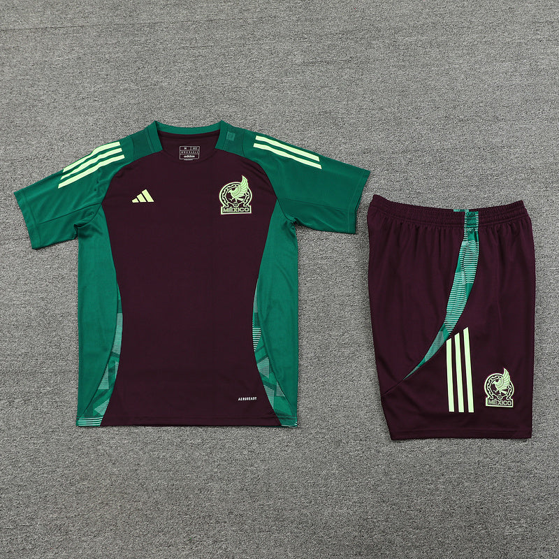 Mexico Training Set - Image 3