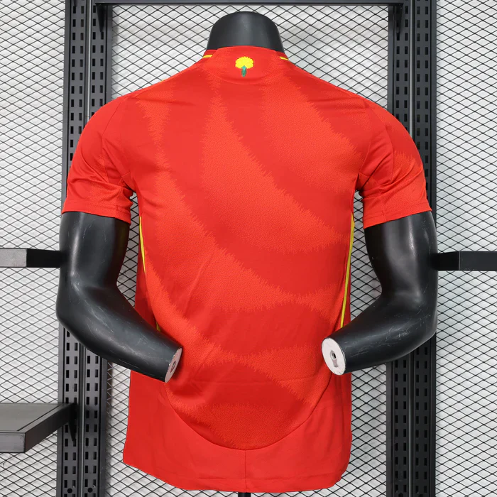 Spain 2024/2025 Home Kit - Image 2
